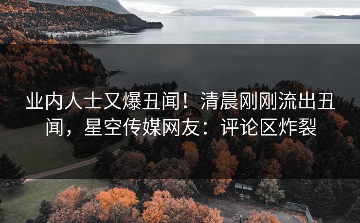 业内人士又爆丑闻！清晨刚刚流出丑闻，星空传媒网友：评论区炸裂