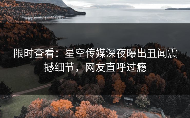 限时查看：星空传媒深夜曝出丑闻震撼细节，网友直呼过瘾