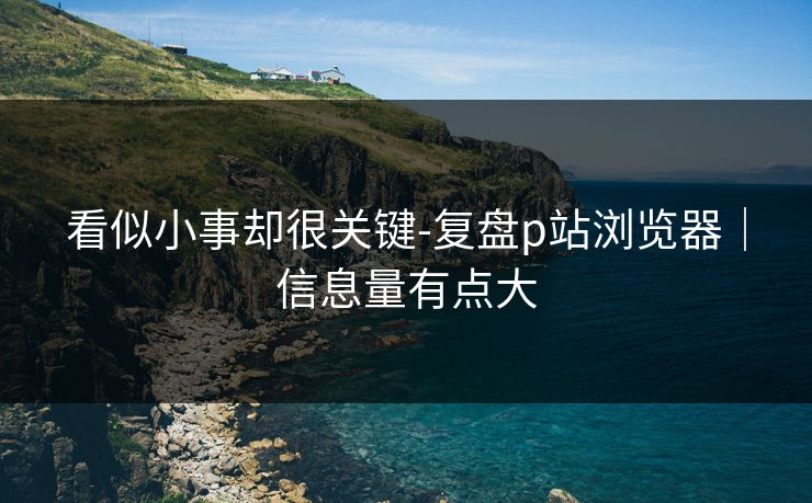 看似小事却很关键-复盘p站浏览器｜信息量有点大